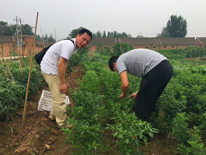好利來郭總喊您來摘菜啦！綠色無公害，放心！